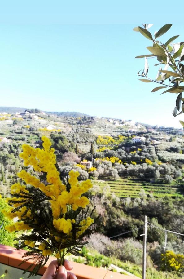 Agriturismo Terre Di Mare Bordighera Vallecrosia Exterior foto