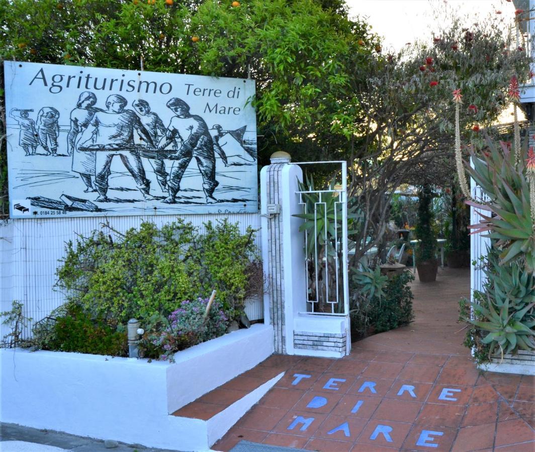Agriturismo Terre Di Mare Bordighera Vallecrosia Exterior foto