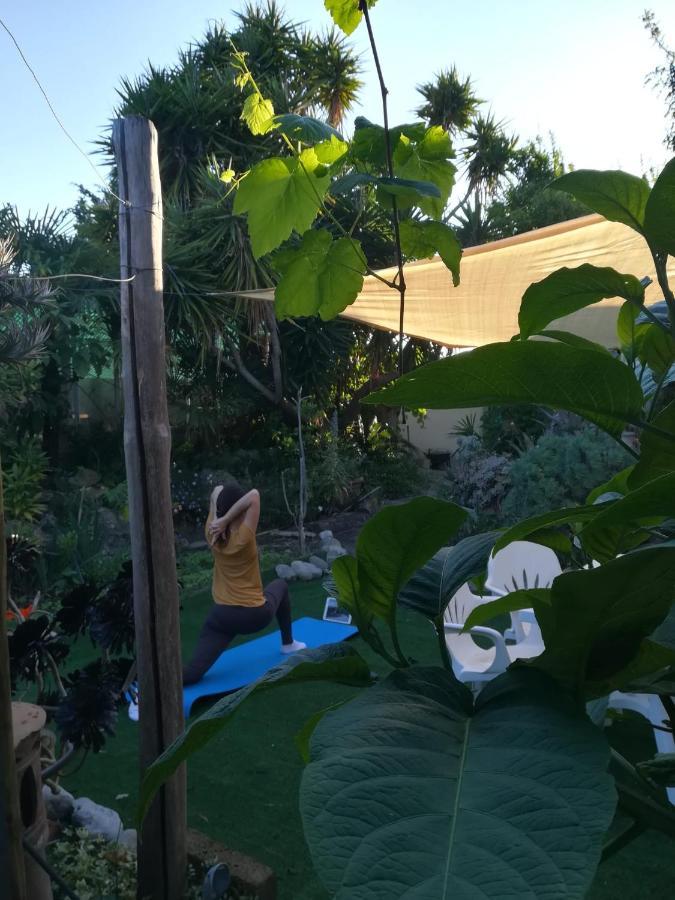 Agriturismo Terre Di Mare Bordighera Vallecrosia Exterior foto