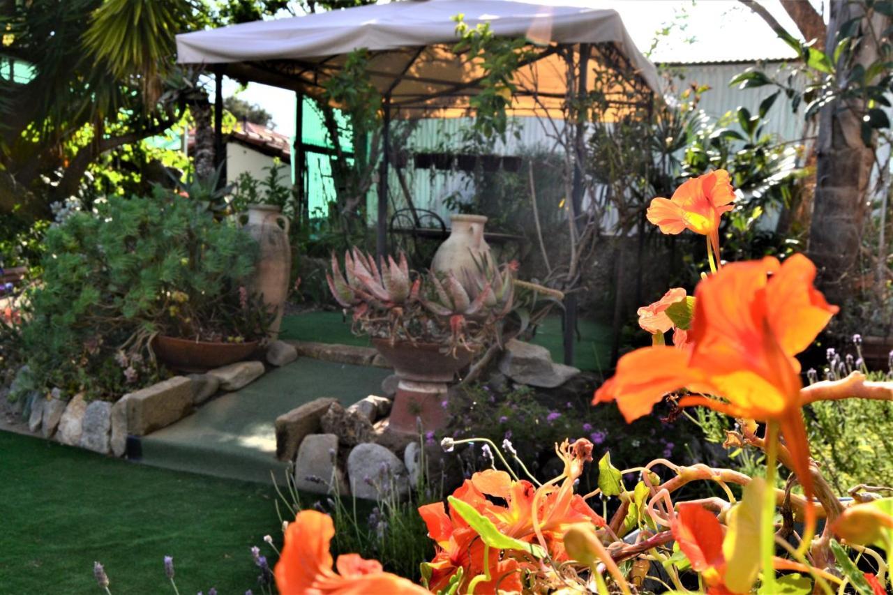 Agriturismo Terre Di Mare Bordighera Vallecrosia Exterior foto